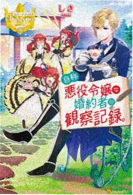 星屑邮差 治愈系动漫番剧封面